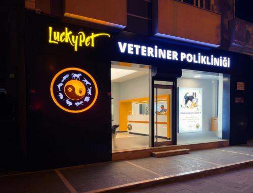 Lack pet veteriner polikliniği#fuarstand #lackypet #pet #veteriner #polikliniği #kommagene kültür merkezi #internationalfairdesing #mimari #içmimari #expo #messe #fuar #stand #ofis #villa # mağaza #showroom #dekorasyon #proje #uygulama #köln #germany 