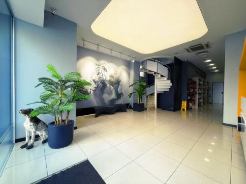 LACKYPET VETERİNER POLİKLİNİĞİ