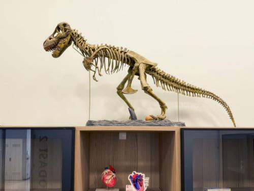 Lack pet veteriner polikliniği#fuarstand #lackypet #pet #veteriner #polikliniği #kommagene kültür merkezi #internationalfairdesing #mimari #içmimari #expo #messe #fuar #stand #ofis #villa # mağaza #showroom #dekorasyon #proje #uygulama #köln #germany 